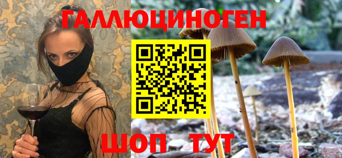 Мирный  Псилоцибиновые грибы мухоморы  цена   Псилоцибиновые грибы Psilocybine cubensis  Вход с VPN 